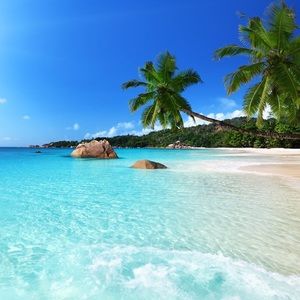 Ocean breeze wish this pandemic was over already!